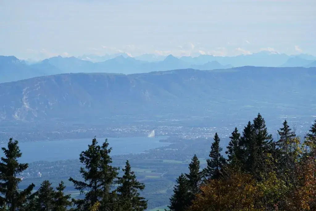 David D. Tan_Restaurant La Barillette_Gingins_Bewertung