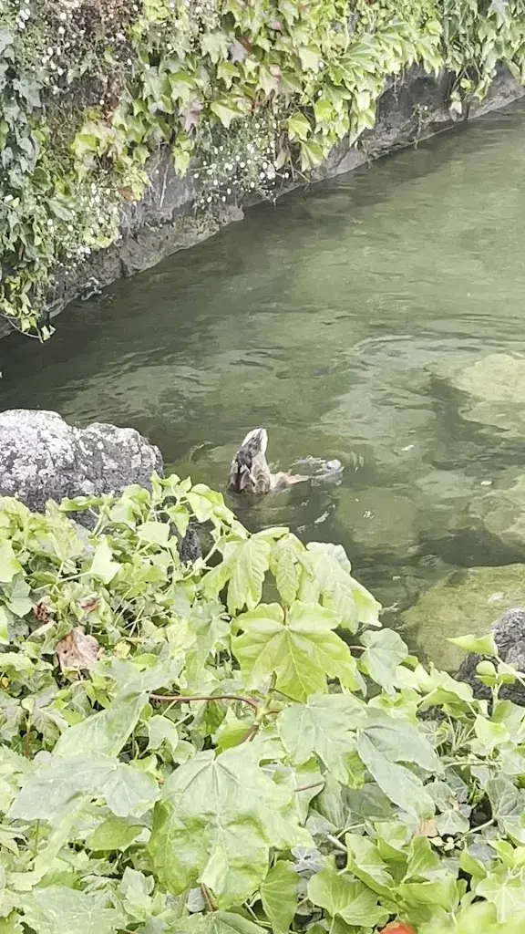 UnDiplomatic Wife_Buvette du port_Coppet_review