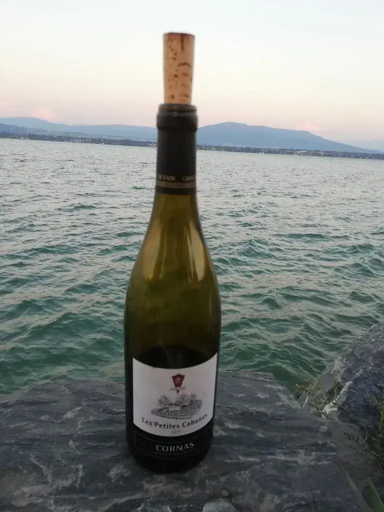 Buvette des Rocailles restaurant in Coppet