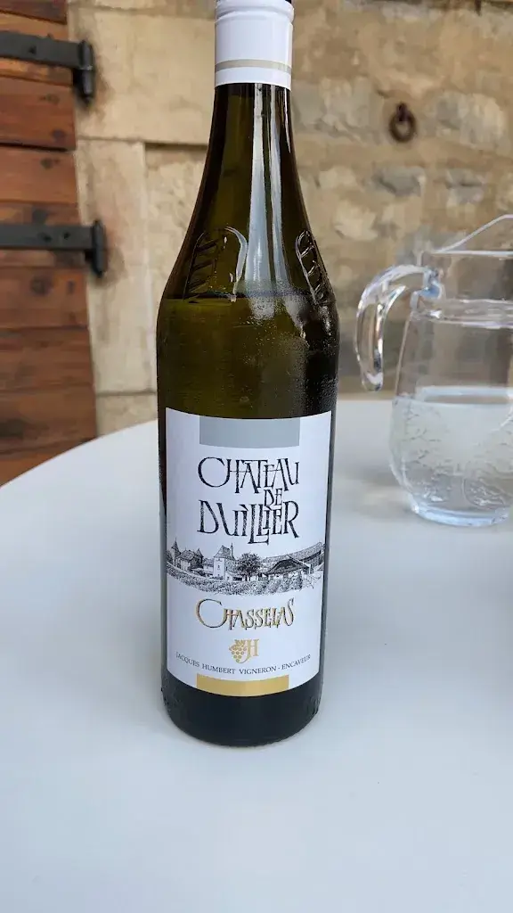 Simone Speelman_Duillier Castle_Duillier_recensione