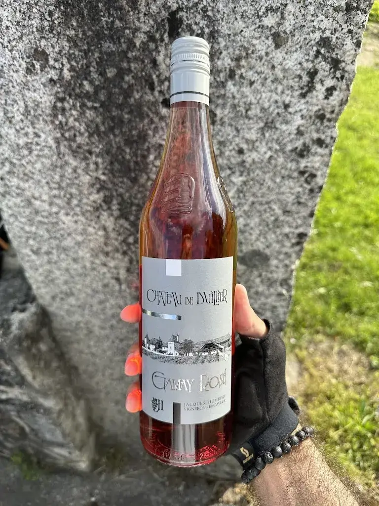 Nader Tabarrok_Duillier Castle_Duillier_recensione