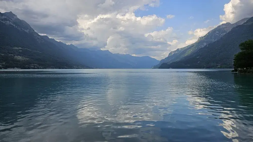 Egon Maurer (#)_Restaurant Bellavista_Bönigen_avis