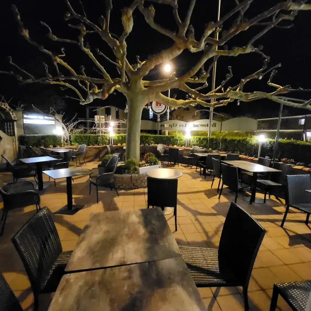 Olaf Chalmer_Les Glycines Nyon SA_Nyon_avis