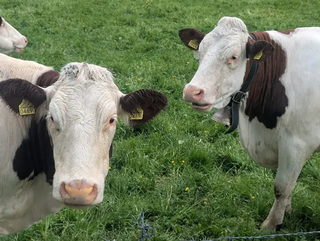 Z S_Chalet de Grange-Neuve - Famille Joseph_Baulmes_review