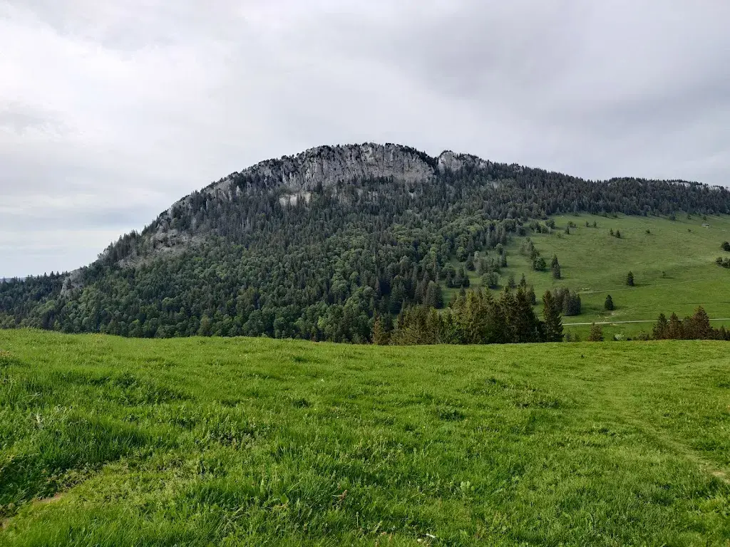 Mark Ambühl_Chalet de Grange-Neuve - Famille Joseph_Baulmes_review