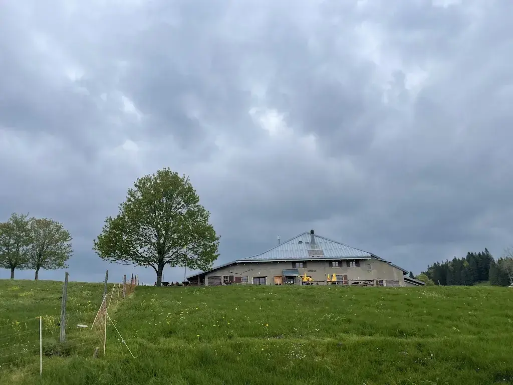Mike Knox _Chalet des Cernys_Ballaigues_review