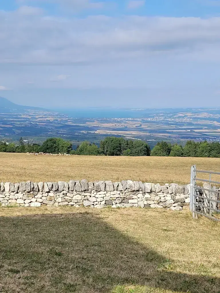 Dora Bollinger_Buvette des Auges_Premier_review