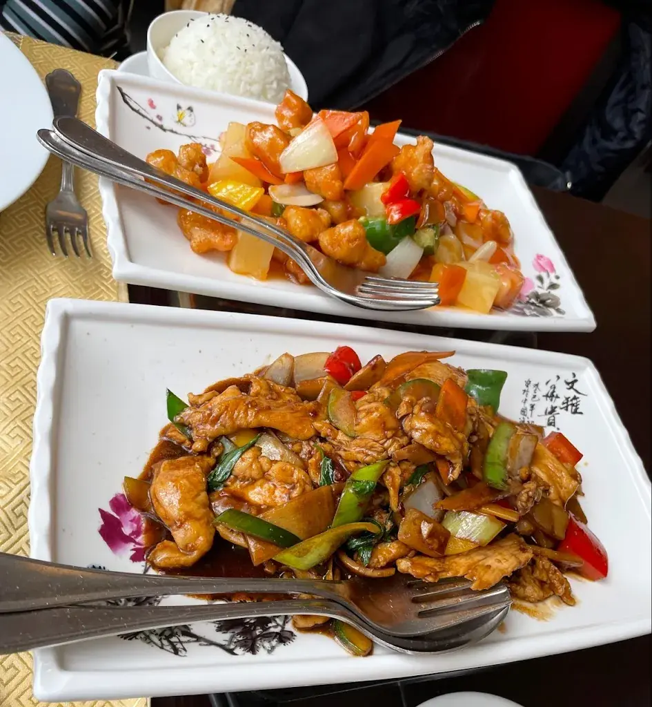 Menu_Restaurant Hong Moon_Versoix_image_3