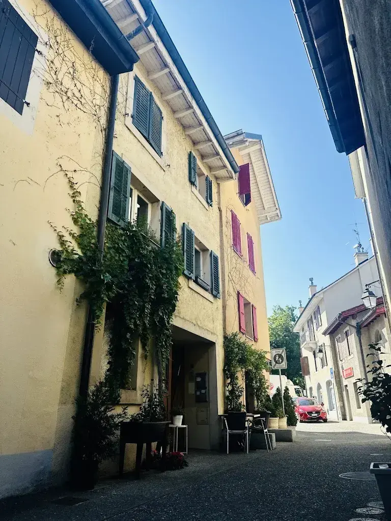 Güzide Tanrıverdi_le National_Versoix_review