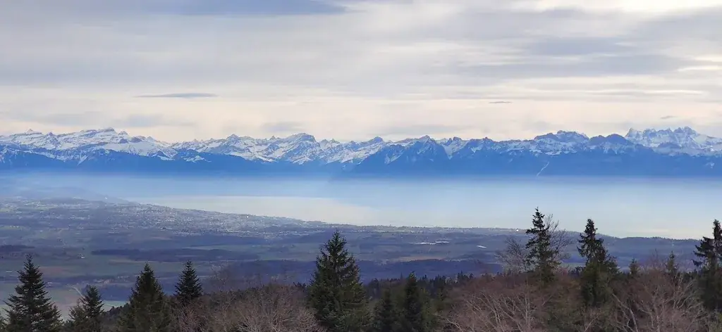 Dan B._Chalet du Mollendruz_L'Abbaye_avis