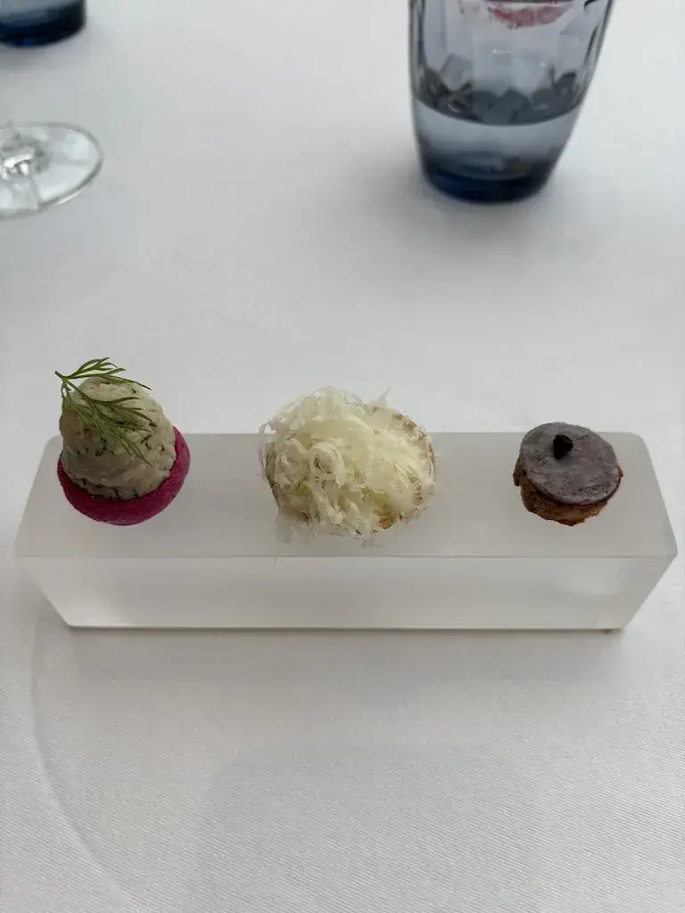 sinem gündoğdu_Le Trianon_Le Mont-Pèlerin_reseña