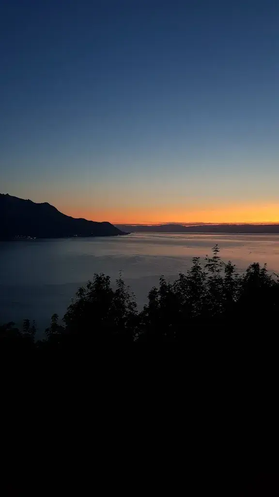 Pascal Mercier_Restaurant Côté Lac_Montreux_review