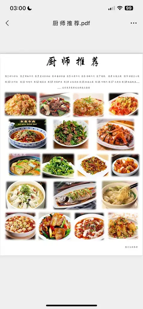 Menu_Beijing Town_Montreux_image_2