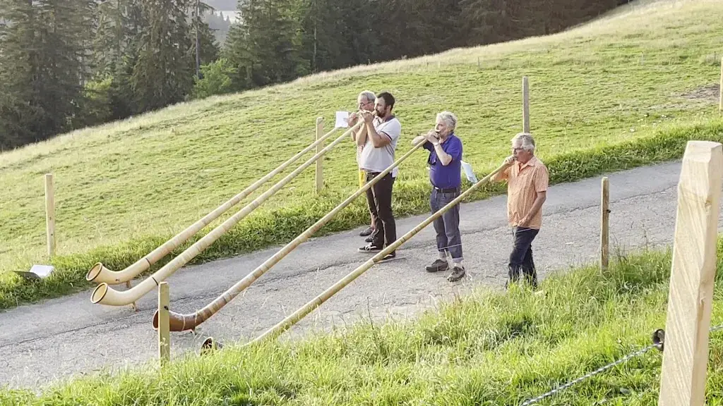 Robert Walter_Alpage de la Neuve, Rte de Ste Hélène, 1807 Blonay_Blonay_review