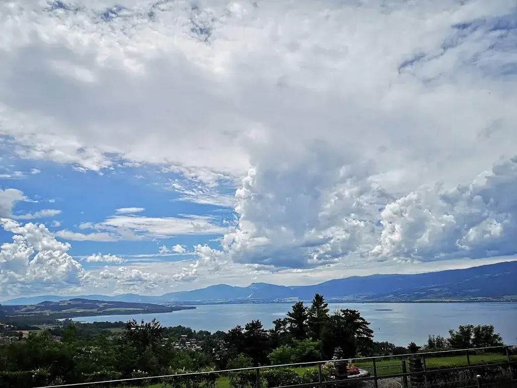 thomas zoellner (TomZ)_O’Molondin Hôtel de Ville Restaurant_Molondin_recensione