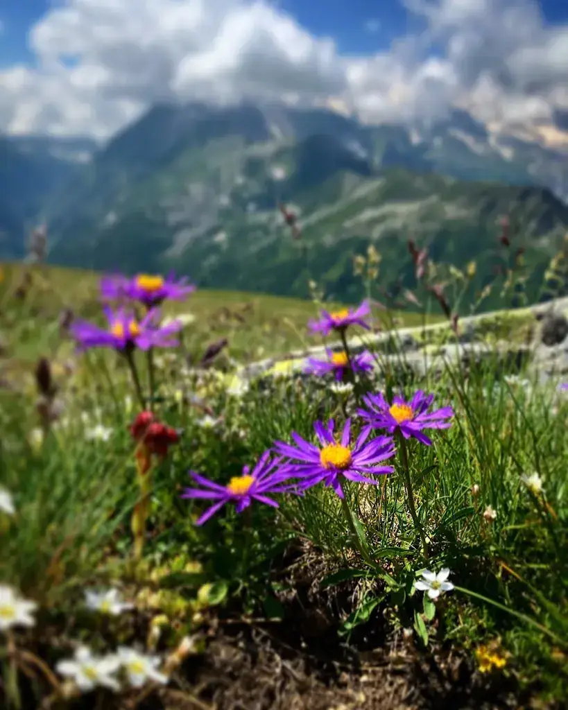 anja konig_Berggasthof Bord, Zwischbergen_Zwischbergen_avis