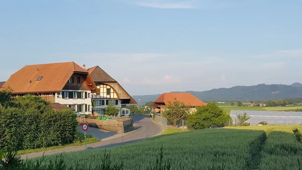 Gatsby Chee_Restaurant Diemerswil_Diemerswil_review