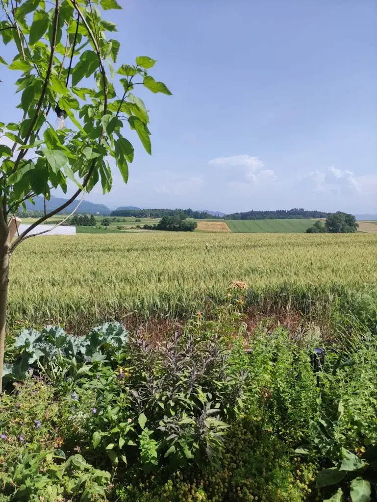 L B_Restaurant Diemerswil_Diemerswil_review