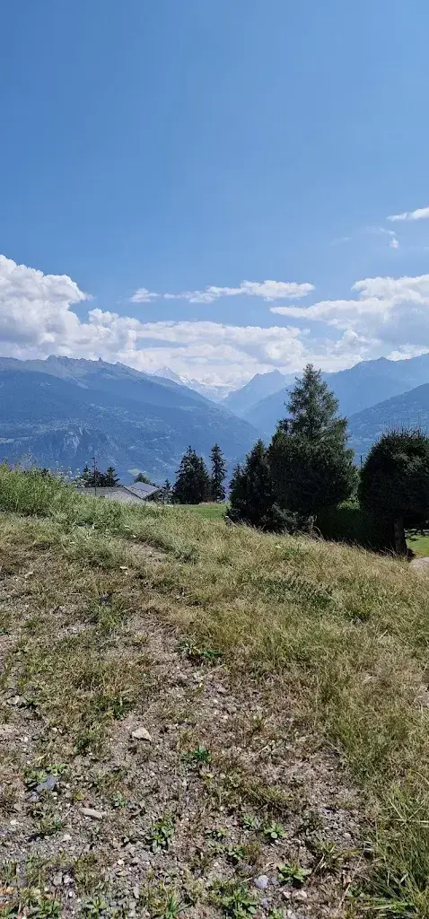 Michel Barman_Restaurant Les Chasseurs_Savièse_review