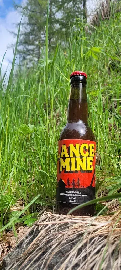 Brasserie Pro-forteresse restaurant à Orsières