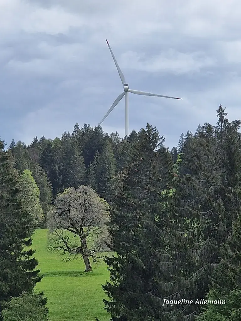 Jaqueline Allemann_Restaurant Combe à la Biche_Saint-Imier_Bewertung