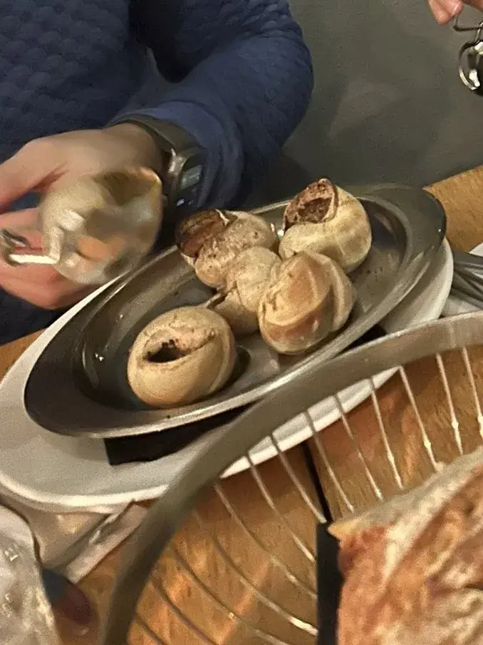 M.Yasin Cakmak_Brasserie de Montbenon_Lausanne_review