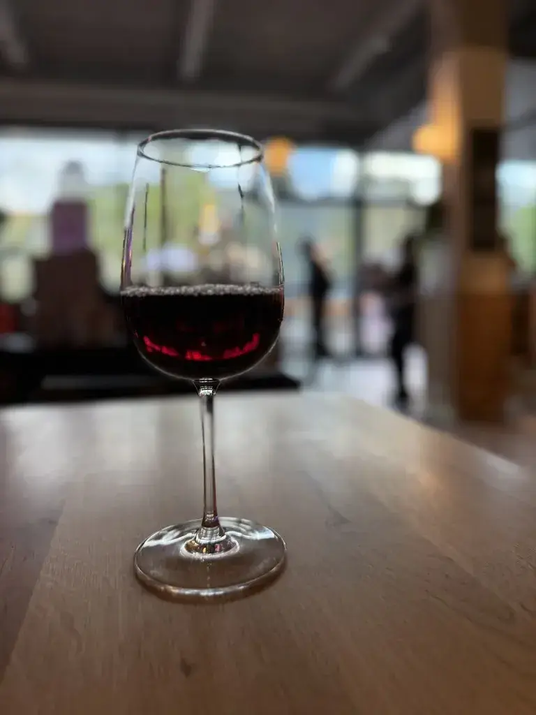 Behdad Yahyavi_Brasserie Belleville_Lausanne_review