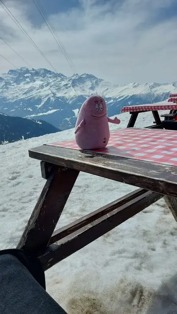 Roddy Willis_Restaurant Des Grands Plans_Verbier_recensione