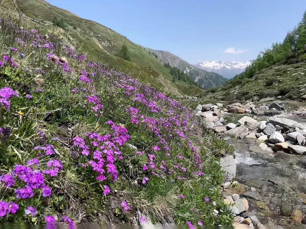 Silvan Munz_Gasthaus Heiligkreuz_Binn_avis