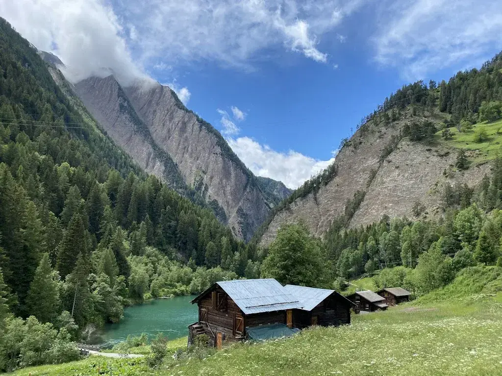 Mikka Luster_Twingi Stubji_Binn_review