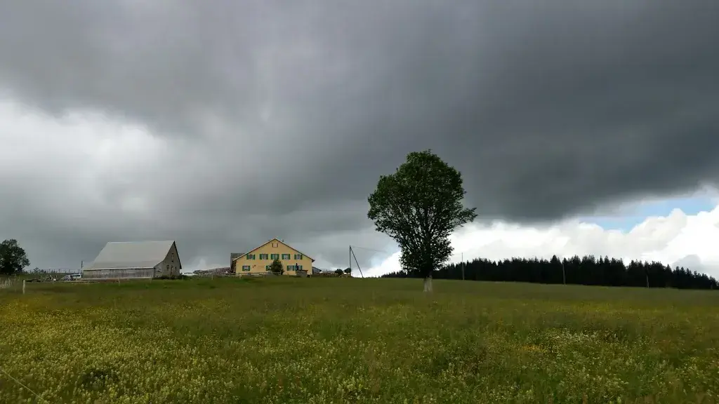 Jan B._Métairie du Milieu_Montagne-de-Courtelary_review