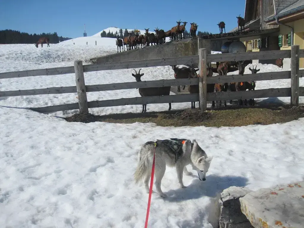Blaise Matile_Métairie du Milieu_Montagne-de-Courtelary_review