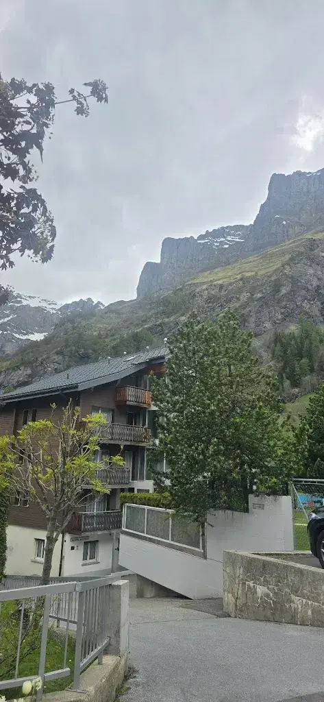 Michel Barman_Restaurant Walliserhof Münster_Münster_avis