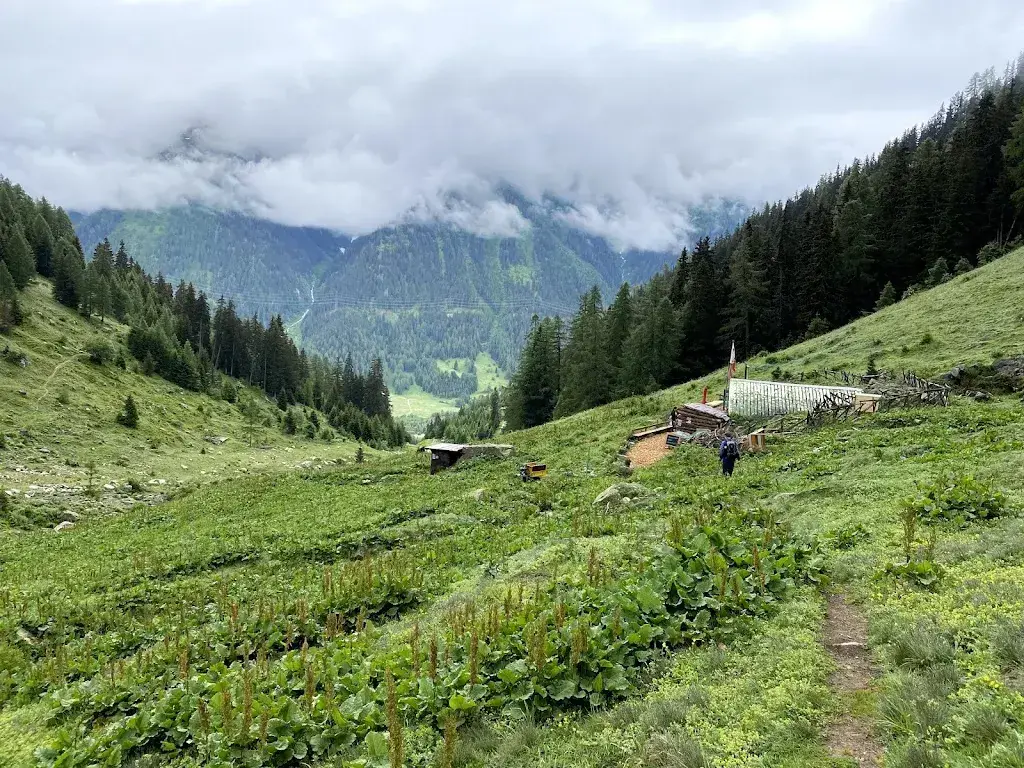 Travel Bug_Berghütte Walibach_Selkingen_review