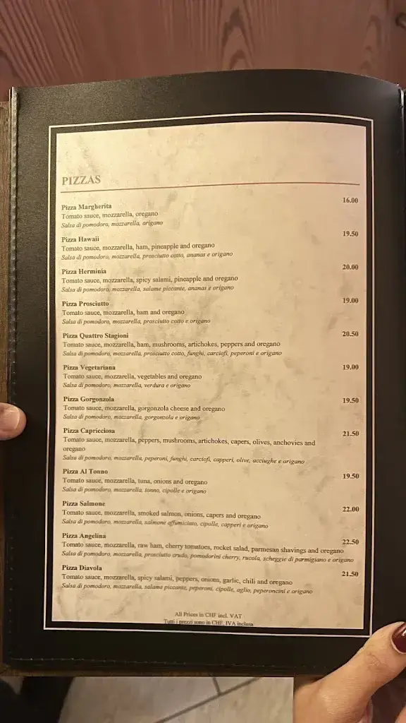 Menu_Al Ponte Ristorante - Pizzeria_Obergoms VS_image_3