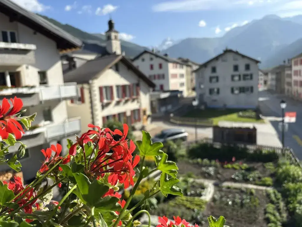 Annie_Restaurant Hotel Grimsel Obergoms_Obergesteln_review