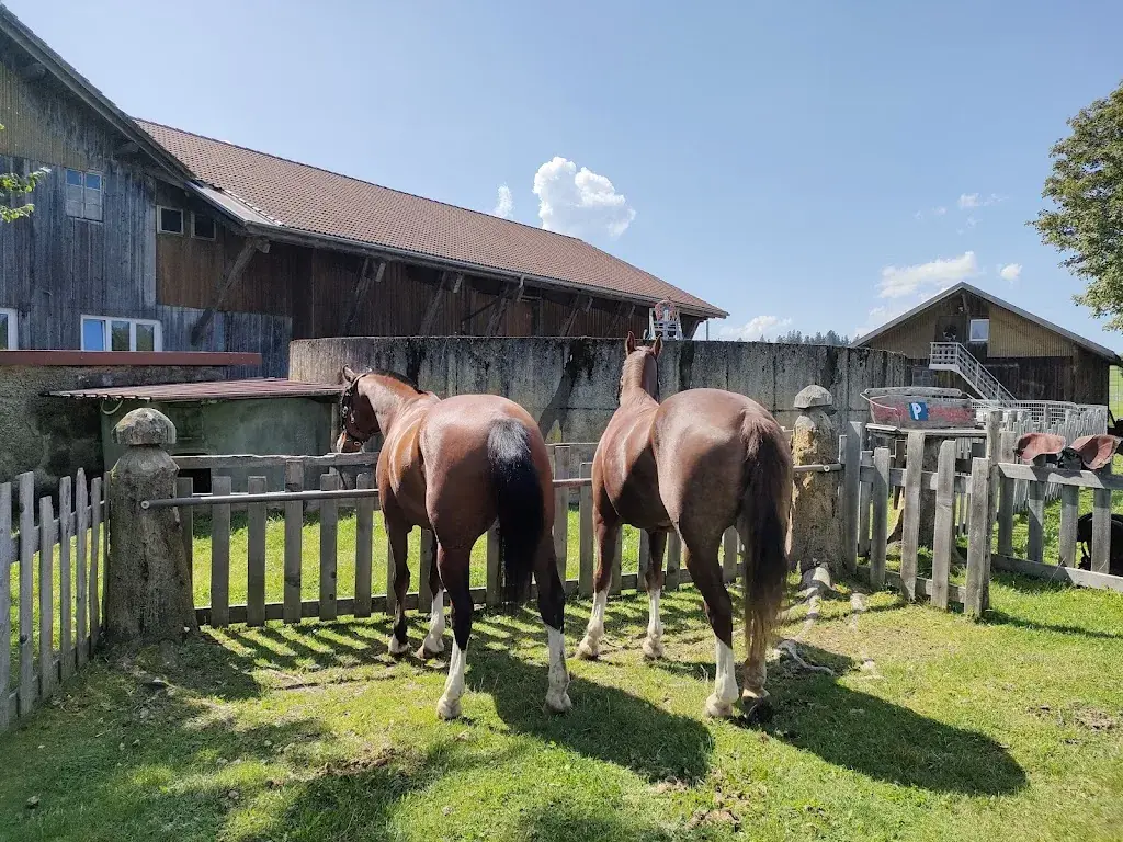 Astrid Luder_Scheidegger-Ranch_Tramelan_review