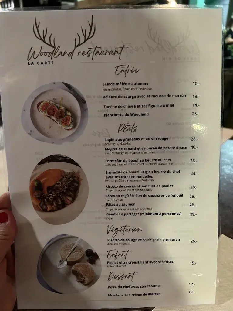 woodland Bar & Restaurant restaurant in Ayent