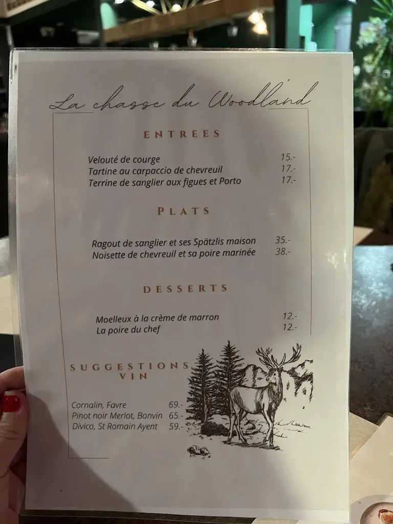Menu_woodland Bar & Restaurant_Ayent_immagine_3