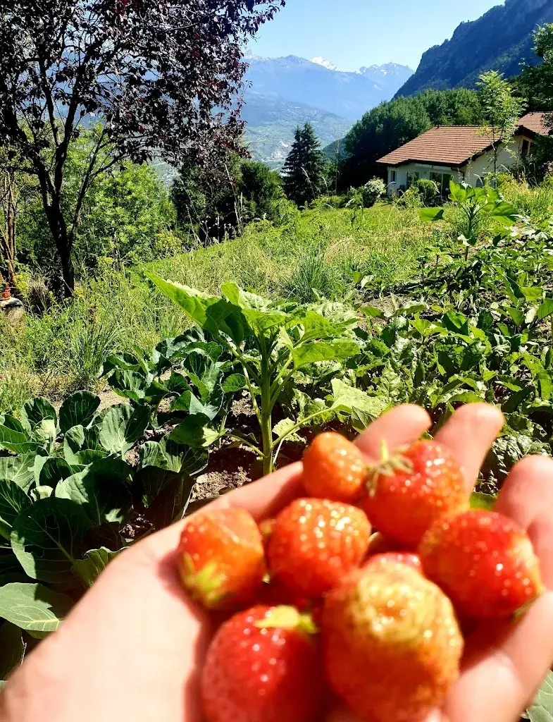 Menu_Restaurant L'Argilly_Vex_image_4