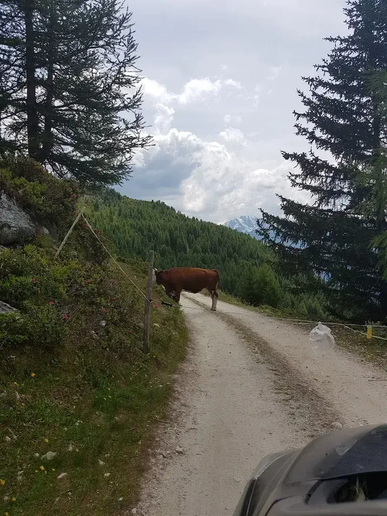 Olivier Mathis_Gîte de la Louère_Mont-Noble_avis