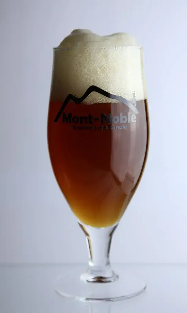 Menu_Mont-Noble Brasserie Artisanale Sàrl_Vernamiège_image_4