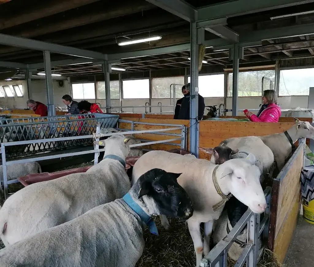 Oscar Sallmann_Durannuhof - Schaferlebnis Wallis_Susten_review