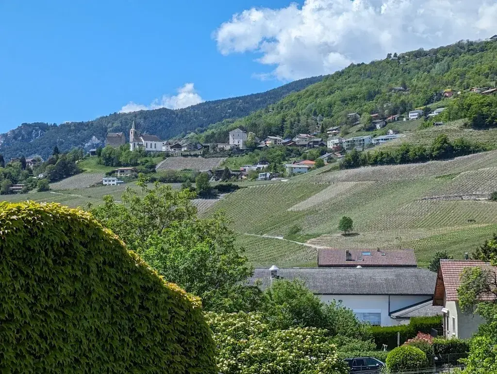 William_Le Relais Miégeois_Miège_review