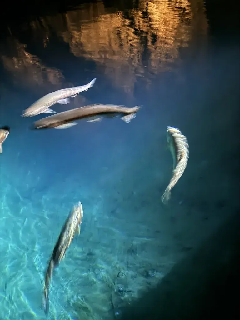 Richard Smith_Arkanum_Salgesch_review