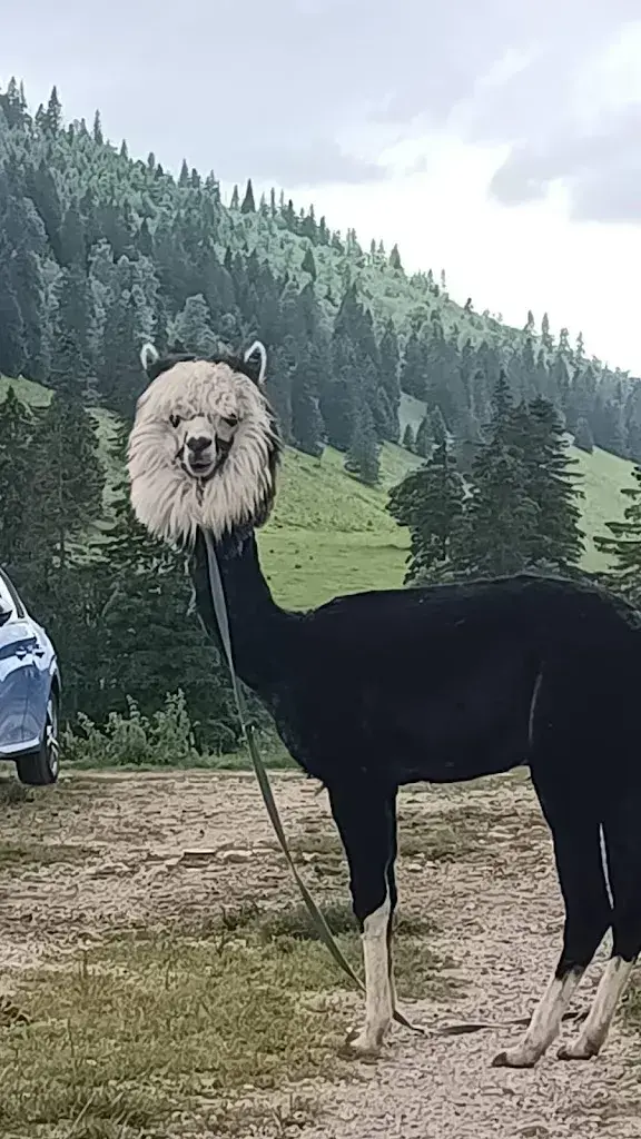 Massimo Beck_Métairie de Meuringue_47°08'58.6