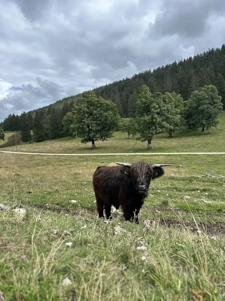 Raoul Feignoux_Métairie de Meuringue_47°08'58.6