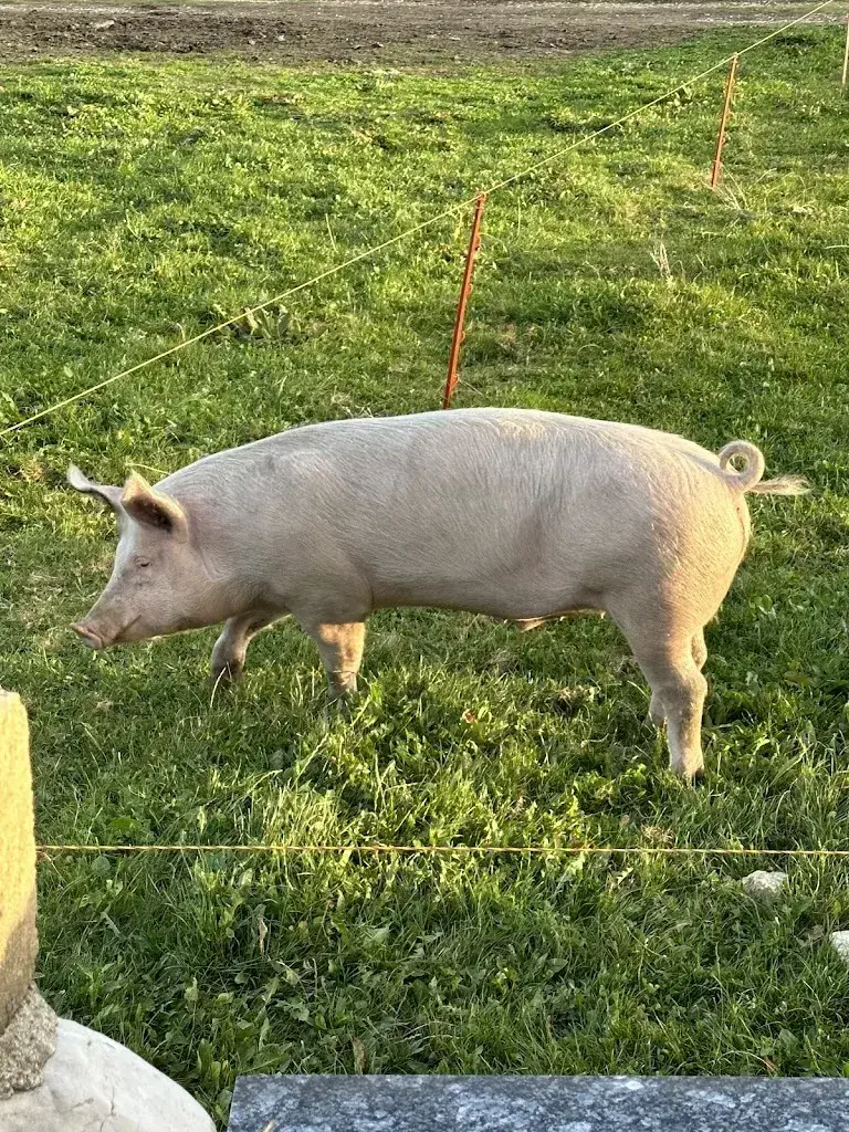 Hugo Girardin_Métairie La Grande Maison_Diesse_Bewertung