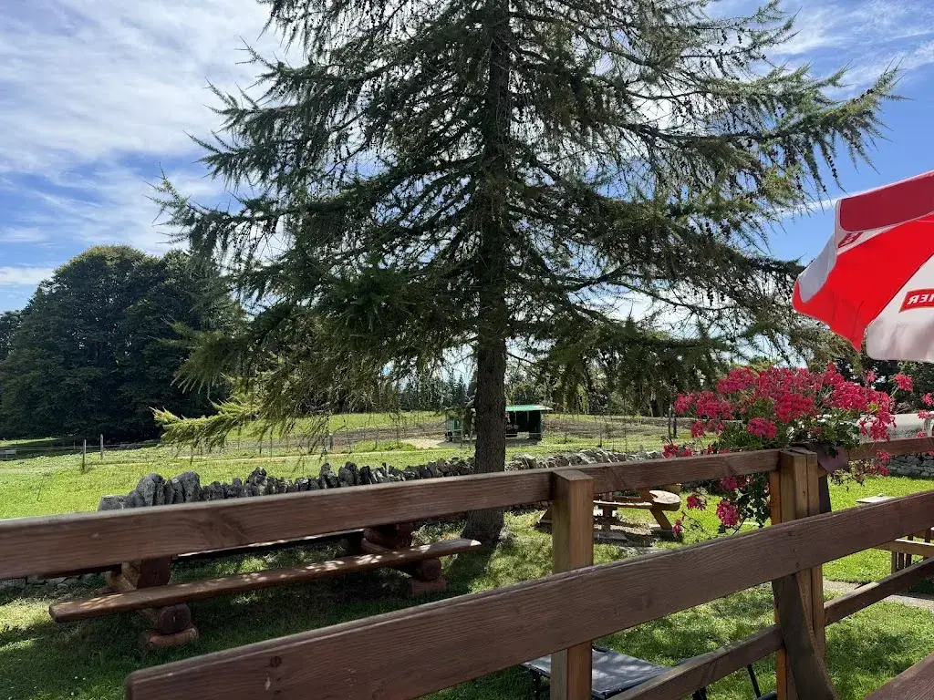 Cianfrani Christophe_Métairie La Grande Maison_Diesse_Bewertung