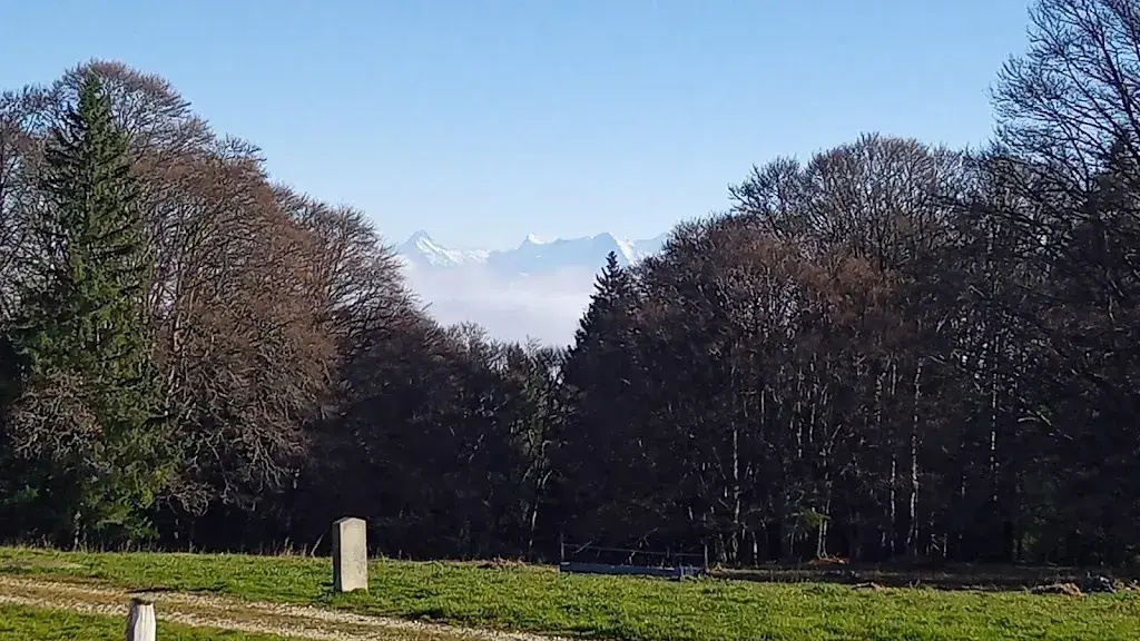 Dominique Voirol_Métairie La Grande Maison_Diesse_Bewertung